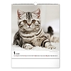 Falinaptár 2026 REALSYSTEM 300x340mm álló Cats