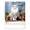 Falinaptár 2026 REALSYSTEM 300x340mm álló Cats