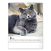 Falinaptár 2026 REALSYSTEM 300x340mm álló Cats