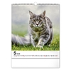 Falinaptár 2026 REALSYSTEM 300x340mm álló Cats