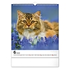 Falinaptár 2026 REALSYSTEM 300x340mm álló Cats