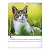 Falinaptár 2026 REALSYSTEM 300x340mm álló Cats