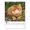 Falinaptár 2026 REALSYSTEM 300x340mm álló Cats