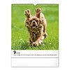 Falinaptár 2026 REALSYSTEM 300x340mm álló Dogs