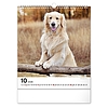 Falinaptár 2026 REALSYSTEM 300x340mm álló Dogs