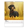 Falinaptár 2026 REALSYSTEM 300x340mm álló Dogs