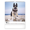Falinaptár 2026 REALSYSTEM 300x340mm álló Dogs