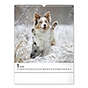 Falinaptár 2026 REALSYSTEM 300x340mm álló Dogs