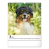 Falinaptár 2026 REALSYSTEM 300x340mm álló Dogs