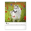 Falinaptár 2026 REALSYSTEM 300x340mm álló Dogs