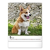 Falinaptár 2026 REALSYSTEM 300x340mm álló Dogs