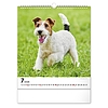 Falinaptár 2026 REALSYSTEM 300x340mm álló Dogs
