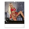 Falinaptár 2026 REALSYSTEM 300x340mm álló Girls