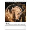 Falinaptár 2026 REALSYSTEM 300x340mm álló Horses
