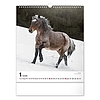 Falinaptár 2026 REALSYSTEM 300x340mm álló Horses
