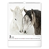 Falinaptár 2026 REALSYSTEM 300x340mm álló Horses