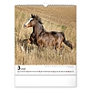 Falinaptár 2026 REALSYSTEM 300x340mm álló Horses