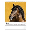 Falinaptár 2026 REALSYSTEM 300x340mm álló Horses