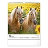 Falinaptár 2026 REALSYSTEM 300x340mm álló Horses