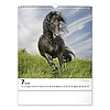 Falinaptár 2026 REALSYSTEM 300x340mm álló Horses