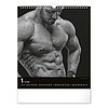 Falinaptár 2026 REALSYSTEM 300x340mm álló Men