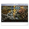 Falinaptár 2026 REALSYSTEM 480x330mm fekvő Wildlife