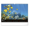 Falinaptár 2026 REALSYSTEM 480x330mm fekvő Wildlife