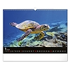 Falinaptár 2026 REALSYSTEM 480x330mm fekvő Wildlife