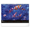 Falinaptár 2026 REALSYSTEM 480x330mm fekvő Wildlife