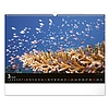 Falinaptár 2026 REALSYSTEM 480x330mm fekvő Wildlife