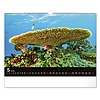 Falinaptár 2026 REALSYSTEM 480x330mm fekvő Wildlife