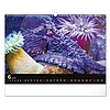Falinaptár 2026 REALSYSTEM 480x330mm fekvő Wildlife