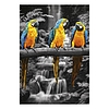Falinaptár 2026 TOPTIMER T092 315x450mm álló Colour Art