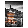 Falinaptár 2026 TOPTIMER T092 315x450mm álló Colour Art