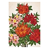 Falinaptár 2026 TOPTIMER T092 315x450mm álló Herbárium