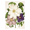 Falinaptár 2026 TOPTIMER T092 315x450mm álló Herbárium