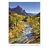 Falinaptár 2026 TOPTIMER T092 315x450mm álló Nature Emotions