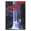 Falinaptár 2026 TOPTIMER T092 315x450mm álló Nature Emotions