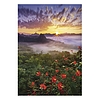 Falinaptár 2026 TOPTIMER T092 315x450mm álló Nature Emotions