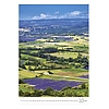 Falinaptár 2026 TOPTIMER T092 315x450mm álló Provence