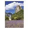 Falinaptár 2026 TOPTIMER T092 315x450mm álló Provence