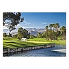 Falinaptár 2026 TOPTIMER T092 485x340mm fekvő Golf