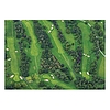 Falinaptár 2026 TOPTIMER T092 485x340mm fekvő Golf