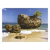 Falinaptár 2026 TOPTIMER T093 420x310mm fekvő Beach