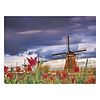 Falinaptár 2026 TOPTIMER T093 420x310mm fekvő Csodálatos világ