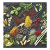 Falinaptár 2026 TOPTIMER T094 220x330mm álló Gourmet
