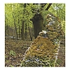 Falinaptár 2026 TOPTIMER T094 220x330mm álló Nemzeti parkjaink