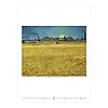 Falinaptár 2026 TOPTIMER T096 420x560mm álló Vincent Van Gogh