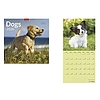 Falinaptár 2026 TOPTIMER T098 290x580mm álló Dogs