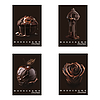 Füzet Pigna Monocromo Chocolate A/4 tűzött 38 lapos vonalas margós